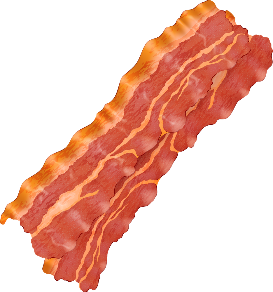 Fried Slice of Bacon Illustration